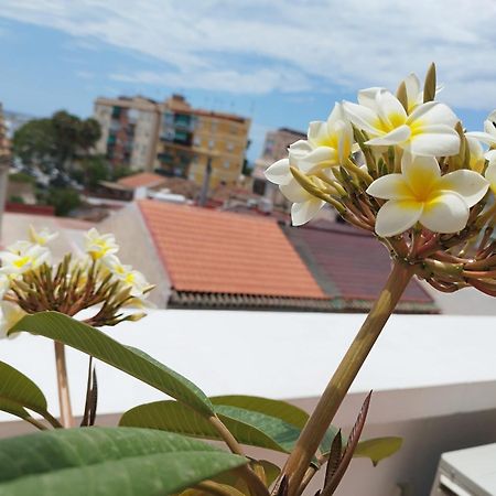 Apartamento Plumaria Málaga Dış mekan fotoğraf