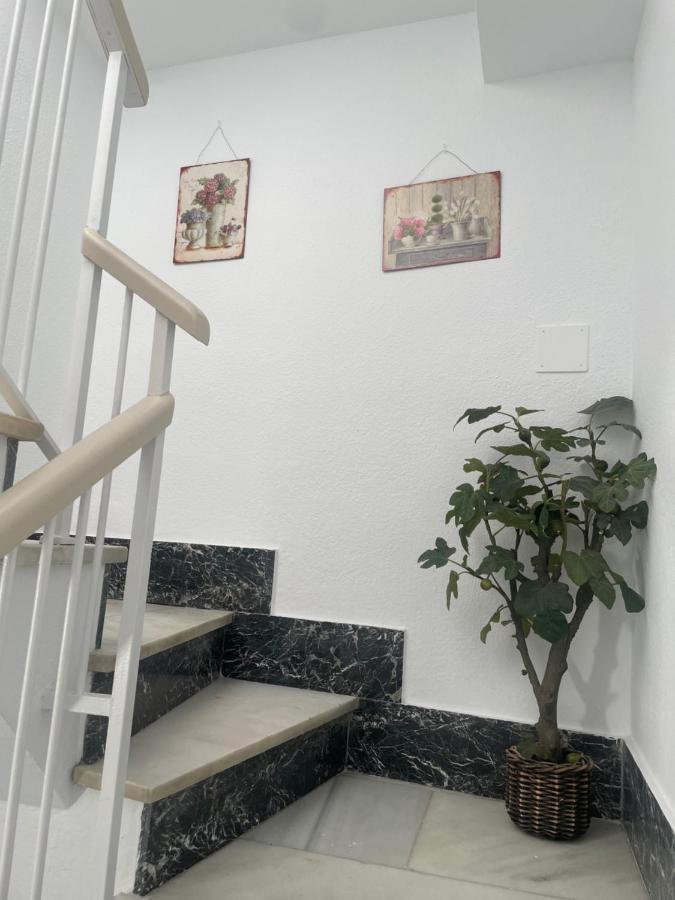 Apartamento Plumaria Málaga Dış mekan fotoğraf