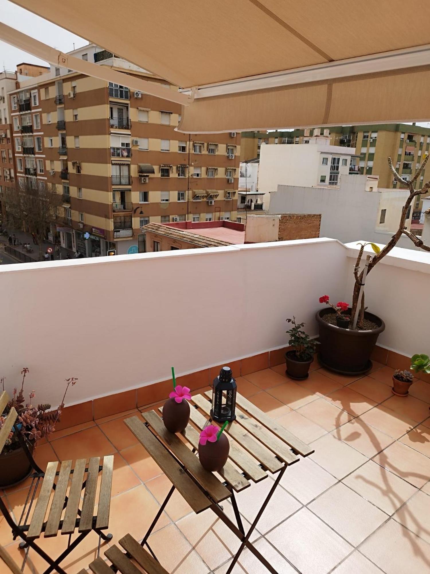 Apartamento Plumaria Málaga Dış mekan fotoğraf